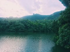 -杭州半山国家森林公园