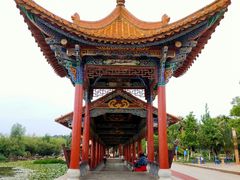 -洛龙公园