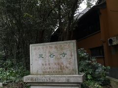 -灵谷景区