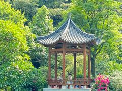 -云溪植物园