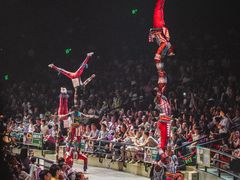 -广州长隆国际大马戏