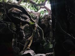 -多彩贵州城极地海洋世界