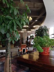 点击看大图 iphone_upload_pic-重道造型