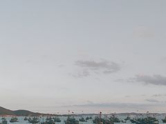 -海源公园