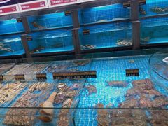 水产区-梦都海鲜酒家(万达广场江桥店)