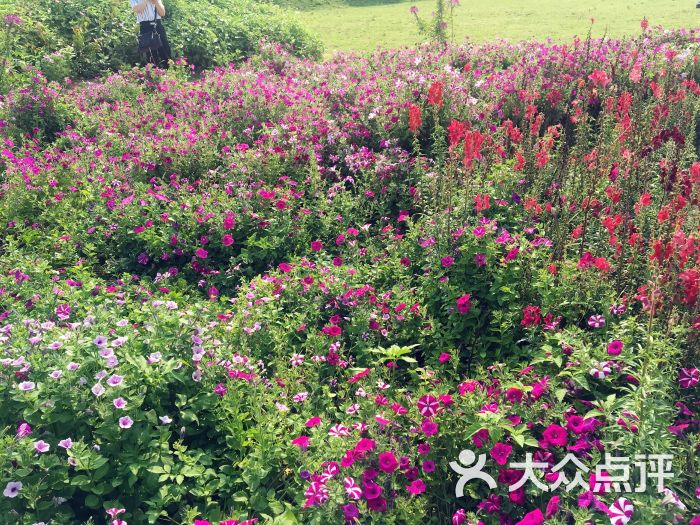 金壽生態園-圖片-汕頭周邊遊-大眾點評網