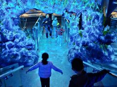 -陕西自然博物馆