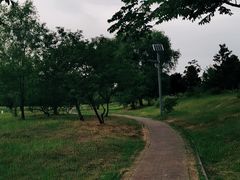 -大蜀山国家森林公园