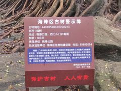 -晓港公园