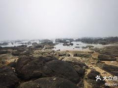 -硇洲岛旅游区