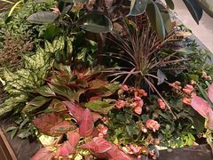 -半秋山西餐厅(巴南万达广场店)