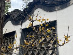 -何园