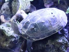 -南昌海洋公园