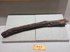 -海口市博物馆
