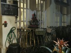 -猫色咖啡·猫咖