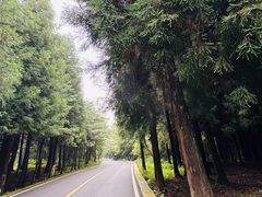-玉舍国家森林公园