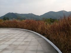 -白石龙音乐公园