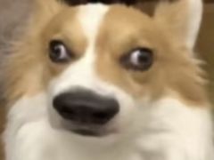 -梅花境(万科店)