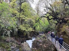 -龙苍沟森林公园
