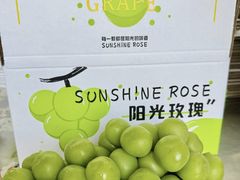 -尚果生态采摘园