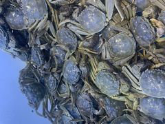 -集品鲜湾·蒸汽海鲜自助料理(青岛银座和谐广场店)