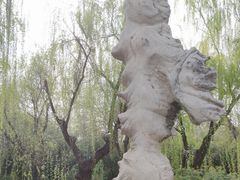 -趵突泉景区