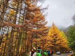 -秦岭风景区