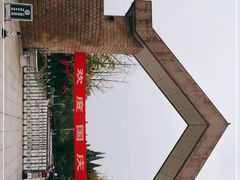 -水杉园
