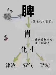 -Oasis Beauty水磨坊科技美肤中心