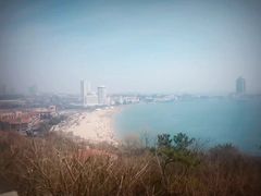 -海边的猫和咖啡馆