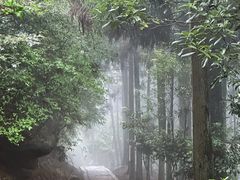 -玉苍山国家森林公园