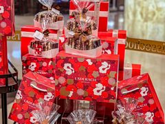 -Laderach 莱德拉(上海环贸iapm店)