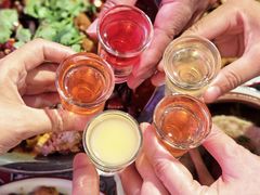 -酒阳蒸经·江湖川菜