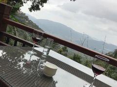 -三亚亚龙湾人间天堂鸟巢度假村