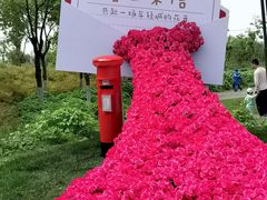 -春花秋色城市公园