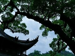 -阿育王寺