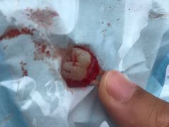 -同济大学附属口腔医院
