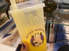 酸奶杨枝甘露-一只酸奶牛(来福士店)
