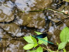 -夏霖九天银瀑风景区