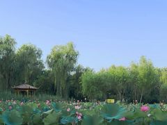 -太阳宫公园