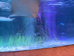 -沈阳海洋探索中心