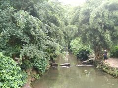 -重庆彩云湖湿地公园