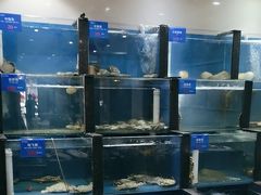 -品味居·首店·大连鲜活海鲜大连菜(东港店)
