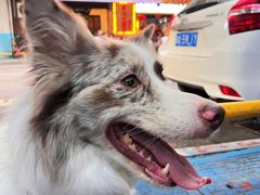 -堂瓦里·33年传统赣菜(第一街区店)