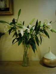 -唯伊美塑身美养连锁