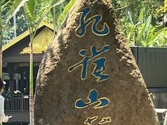 -野象谷景区