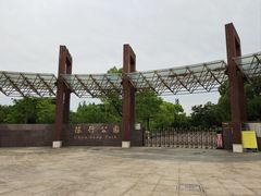 -陈行公园