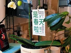 -MĀMĀCHÁ妈妈茶