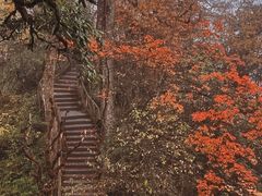 -龙苍沟森林公园