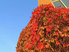 -辽宁大学(崇山校区)